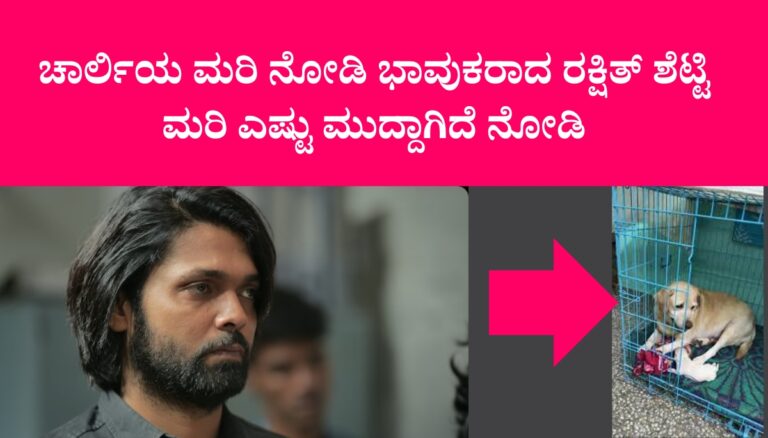 ಚಾರ್ಲಿಯ ಮರಿ ನೋಡಿ ಭಾವುಕರಾದ ರಕ್ಷಿತ್ ಶೆಟ್ಟಿ ಮರಿ ಎಷ್ಟು ಮುದ್ದಾಗಿದೆ ನೋಡಿ